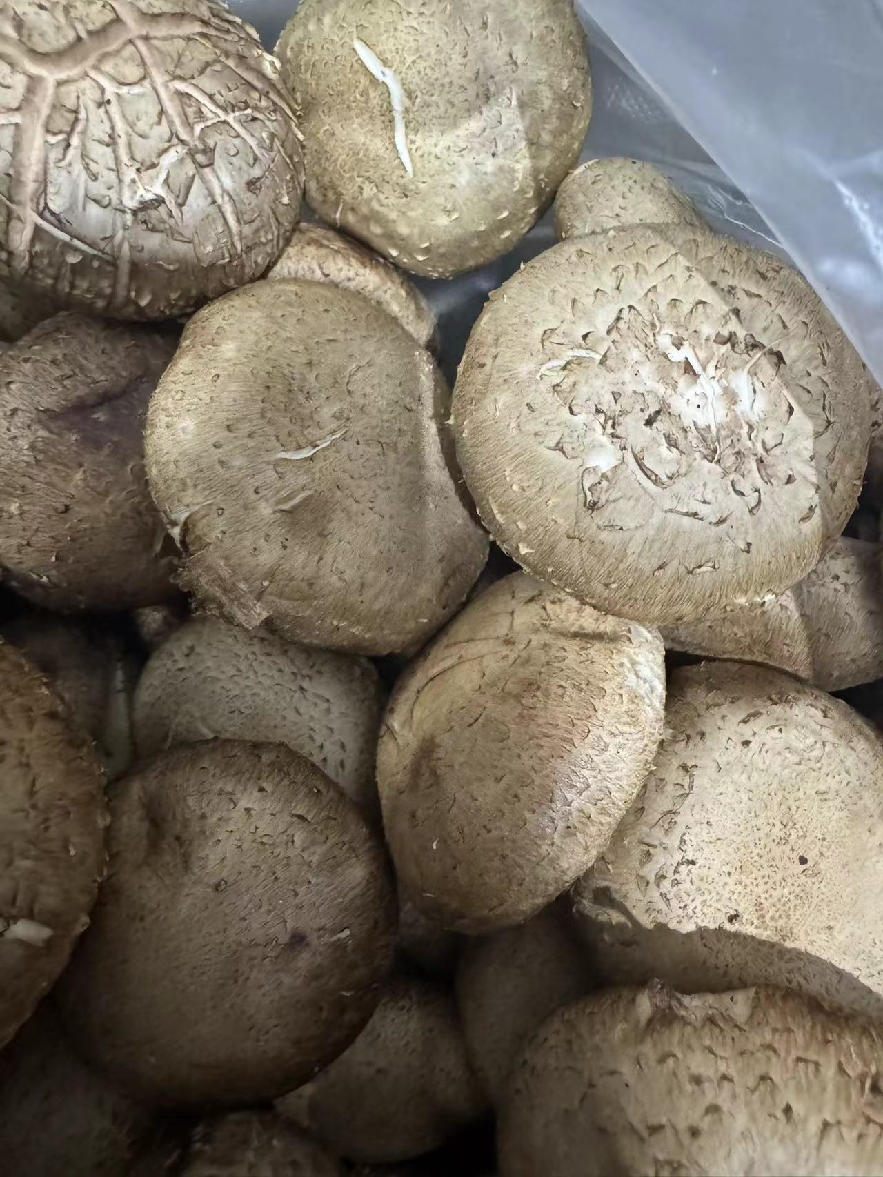 冷链物流
